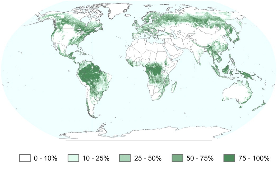 MODIS forest1